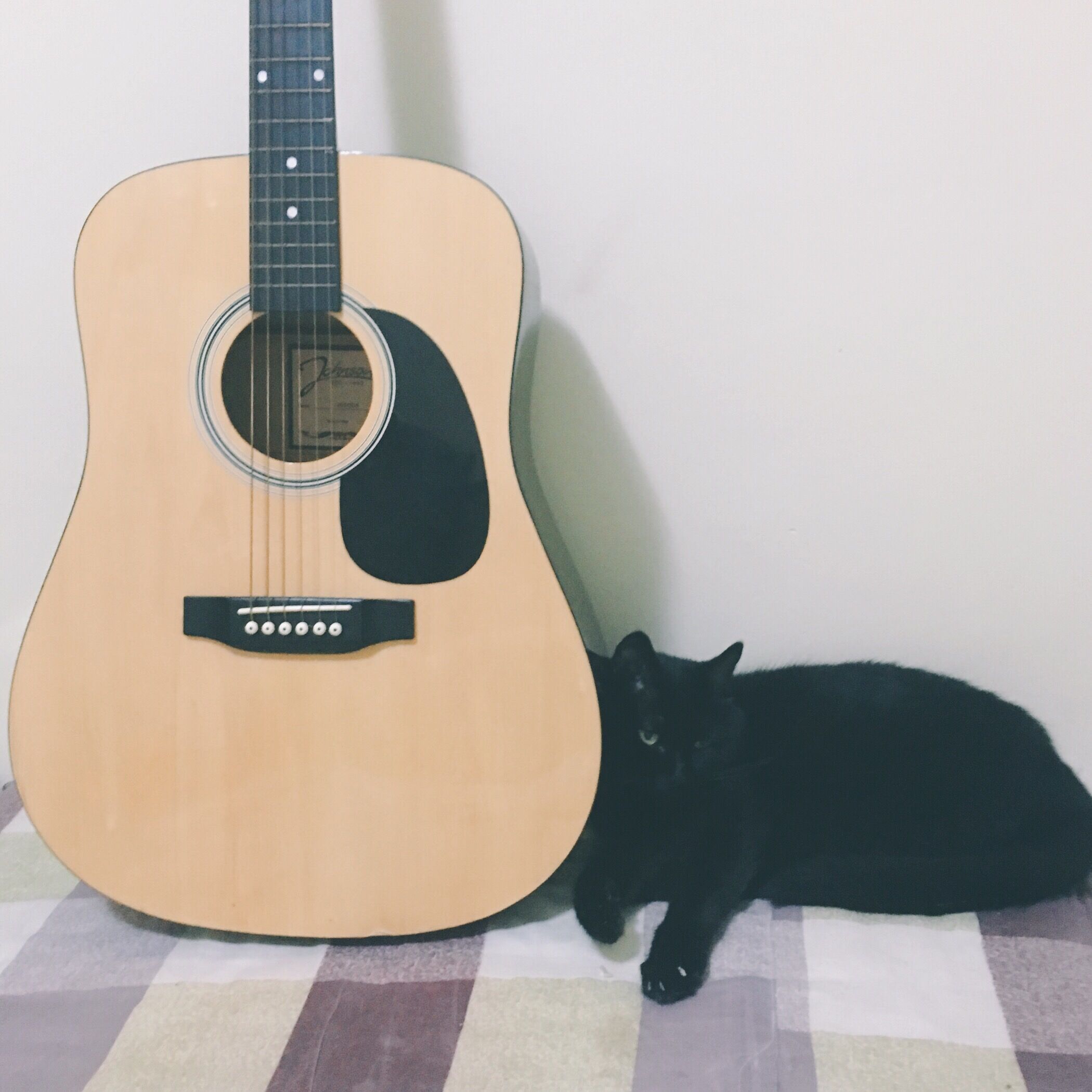 ji mu can ting Cover: zhao lei