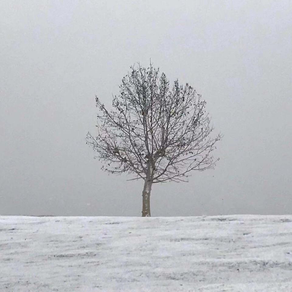 xing kong xia de sha mo