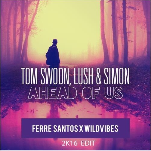 Ahead Of Us (Ferre Santos X WildVibes 2K16 EDIT)
