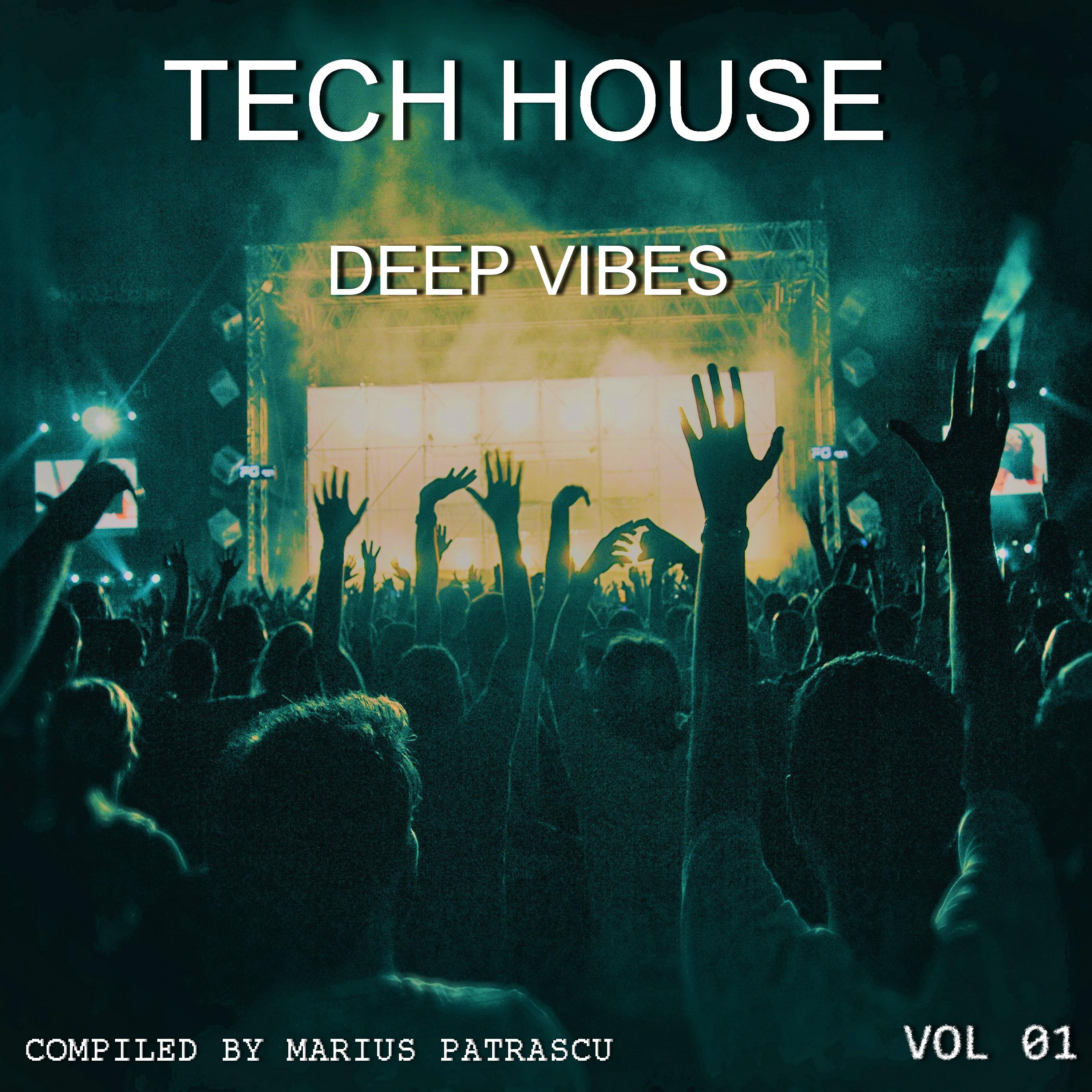 Tech House Deep Vibes 2017, Vol. 01 (Mixed By Marius Patrascu)