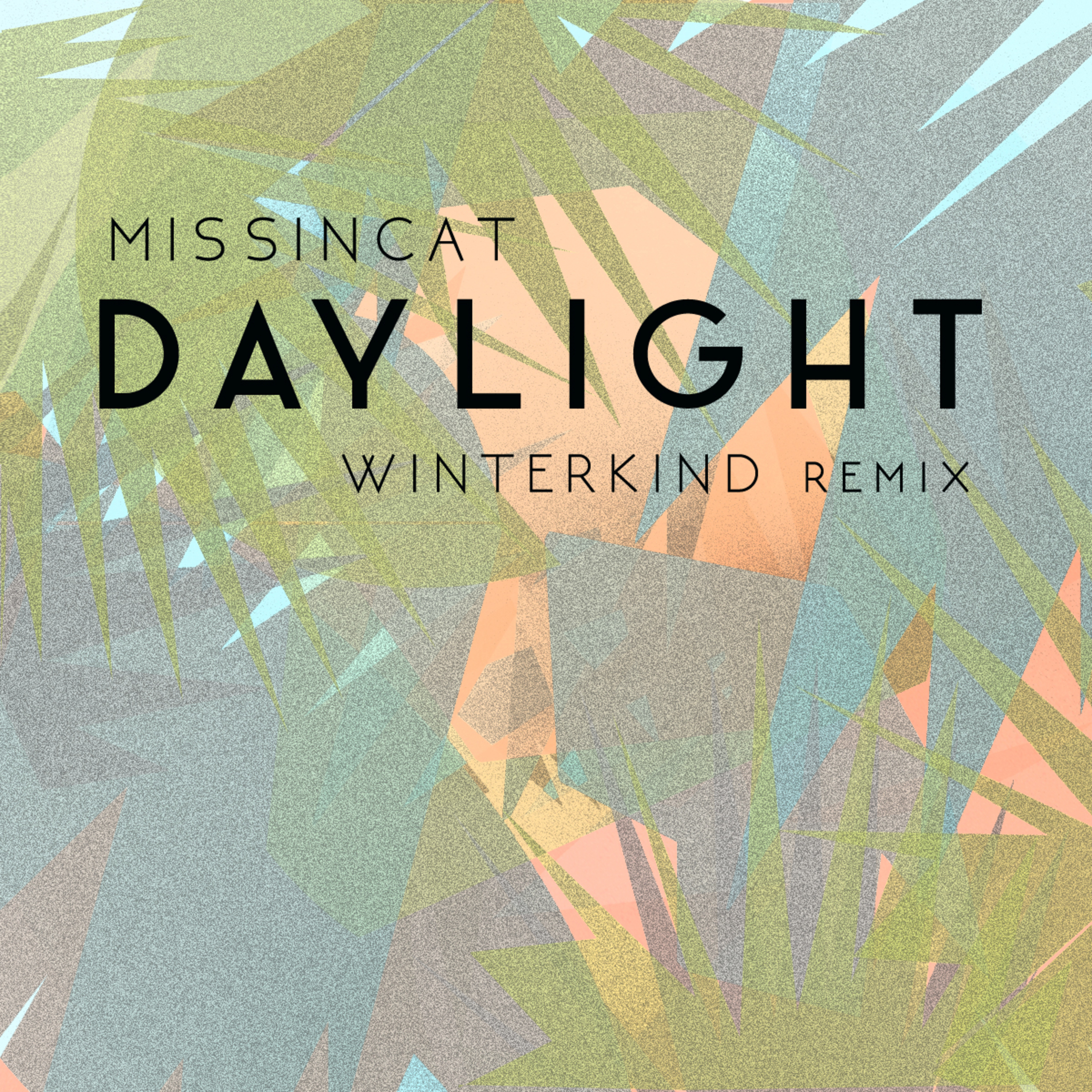 Daylight (Winterkind Radio Remix)