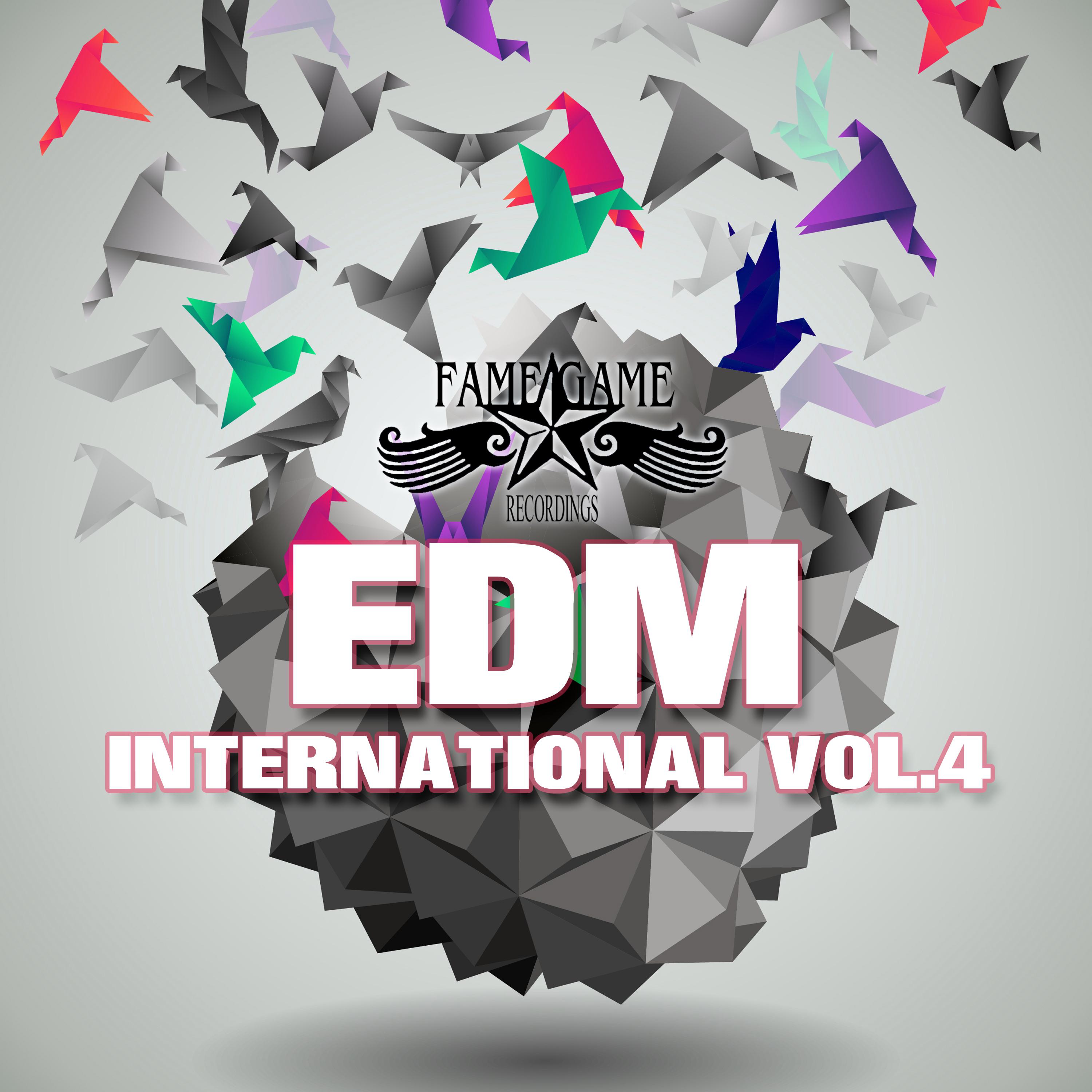 EDM International, Vol. 4