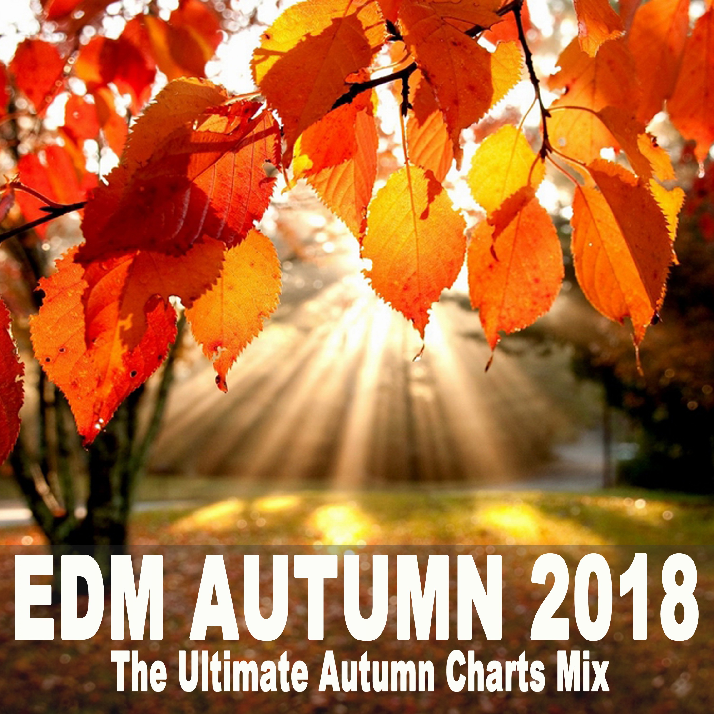 EDM Autumn 2018 - The Ultimate Autumn Charts Mix (The Best EDM, Trap & Dirty House)