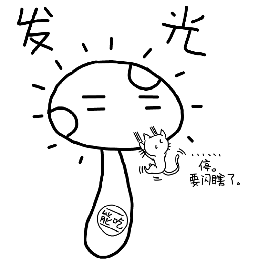 zai mo yin chuan er de dao lu shang kuang ben de ruo ning zheng