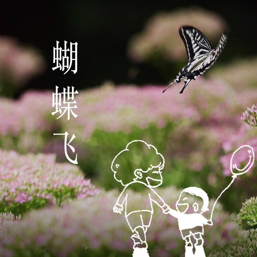 hu die fei qin zi ban