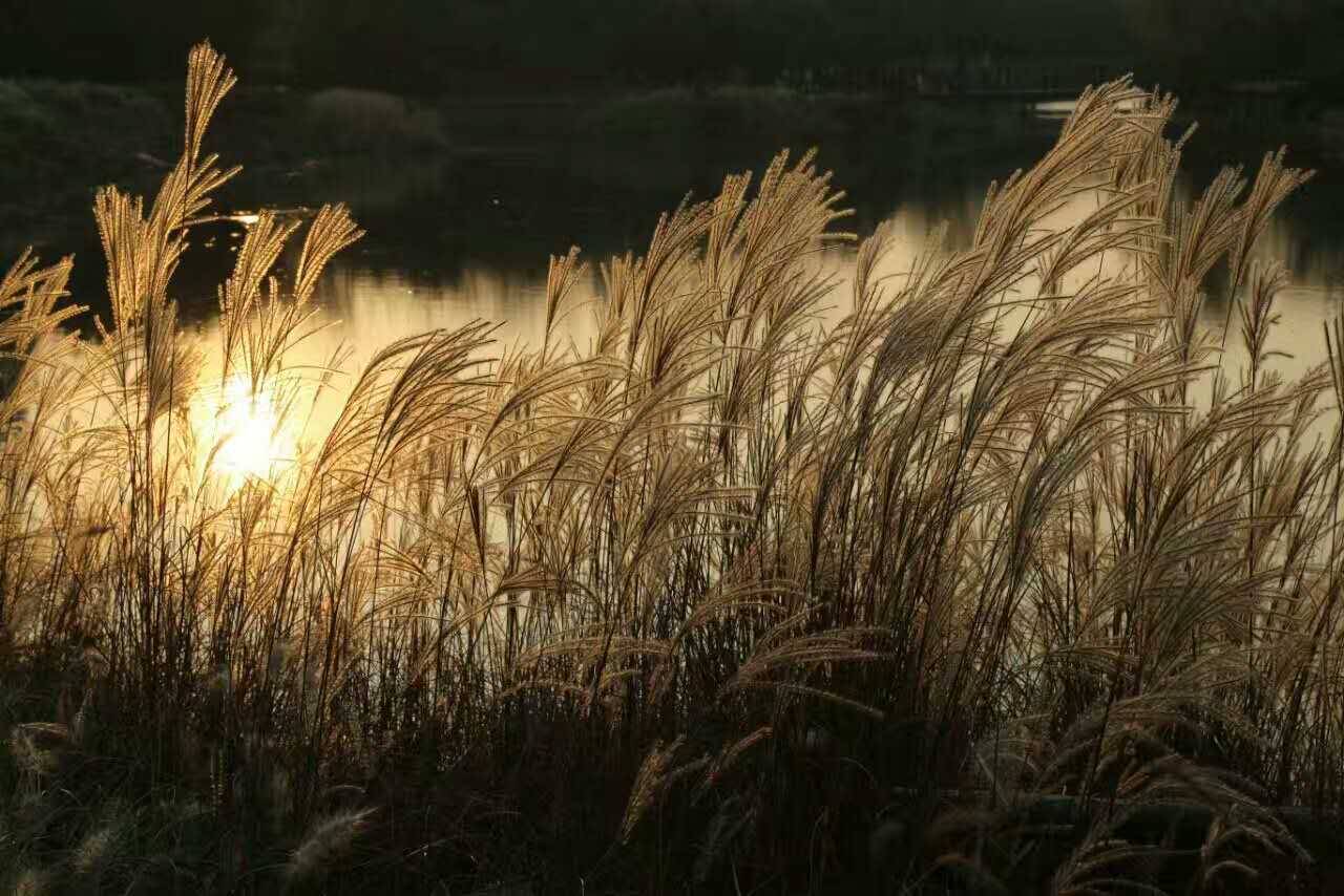 hui yi lu Prod. by sainwells