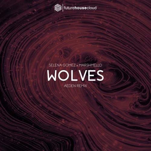 Selena Gomez, Marshmello - Wolves (Aeden Remix)