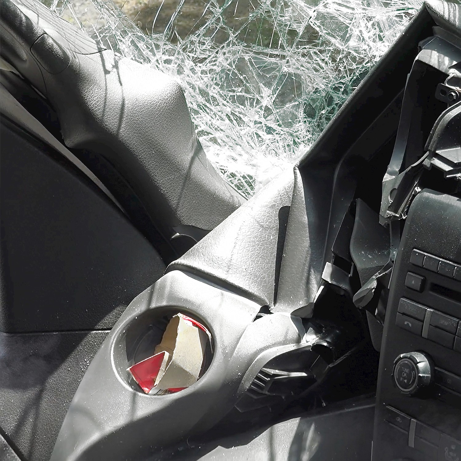 Apaixonadinho da Silva