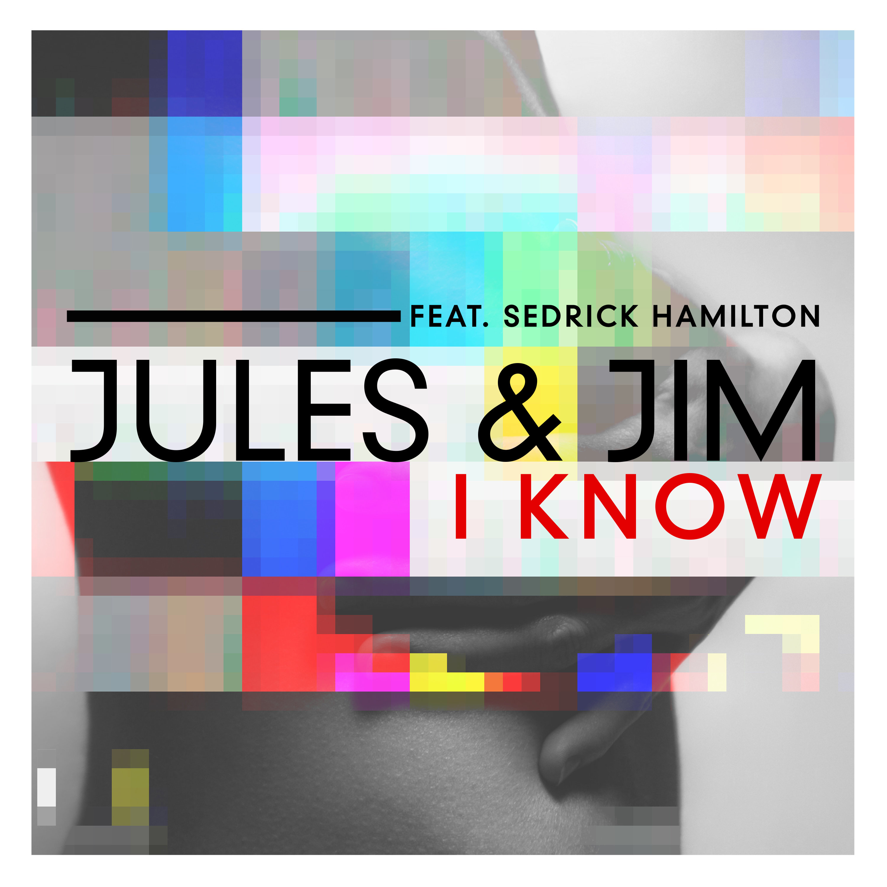 I Know (feat. Sedrick Hamilton) [Bruce Leers Remix Radio]