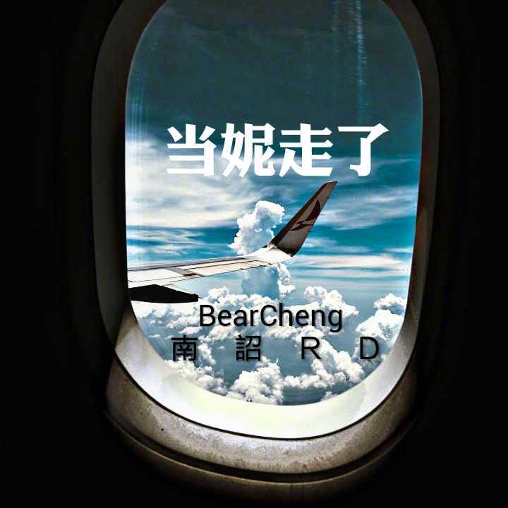 2Real xu zhen zhen  dang ni zou le remix