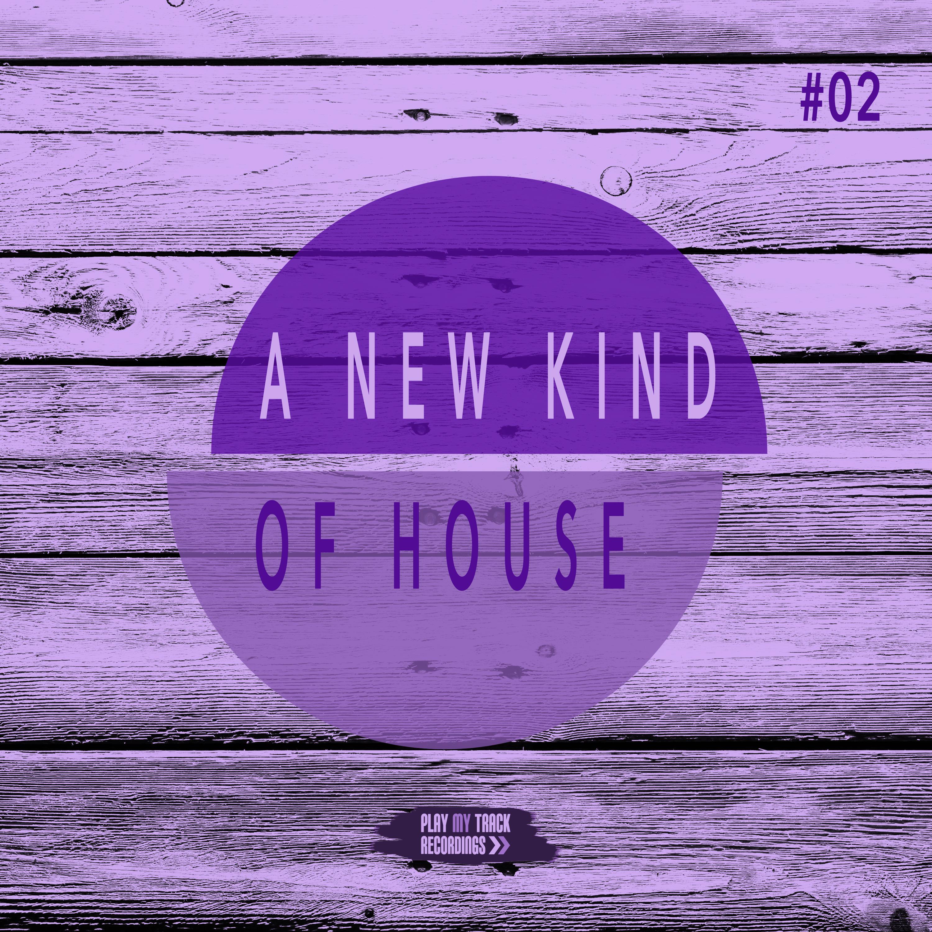 A New Kind of House, Vol. 2