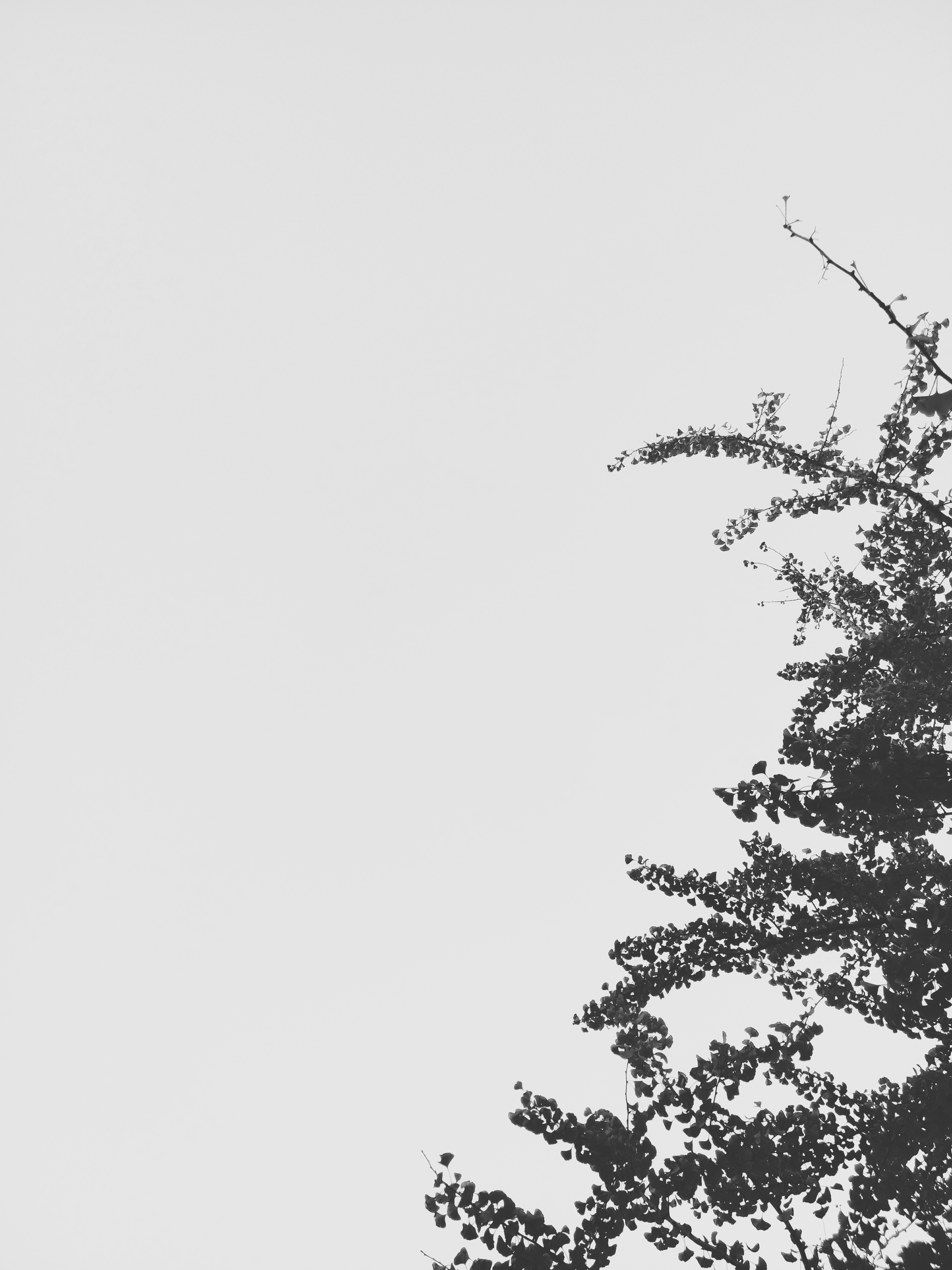 THE LAST SUMMER 2010 ( feat. Petrichor)