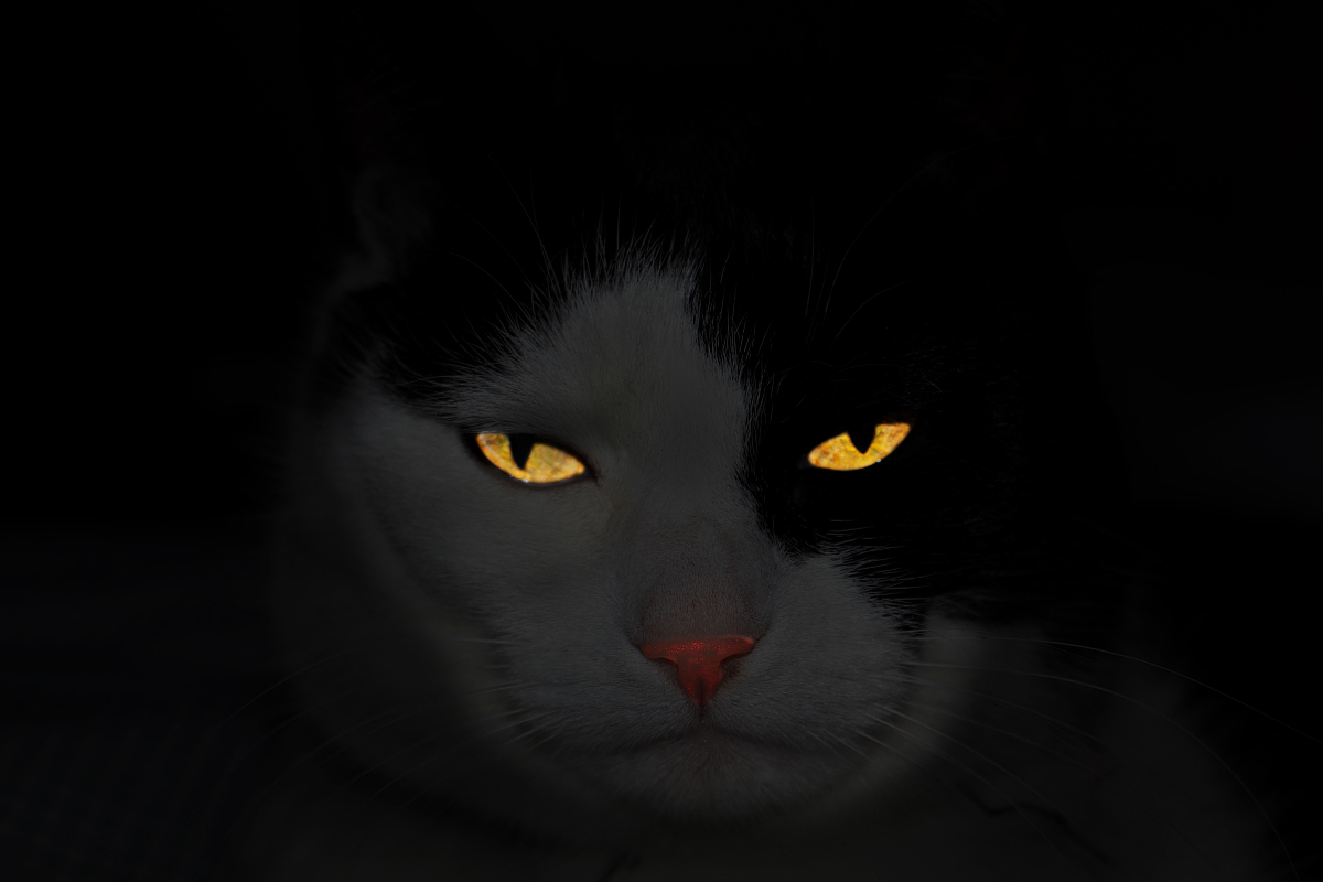 ta wen wo zhang da xiang zuo shi mo, wo shuo" kuai le de ren"