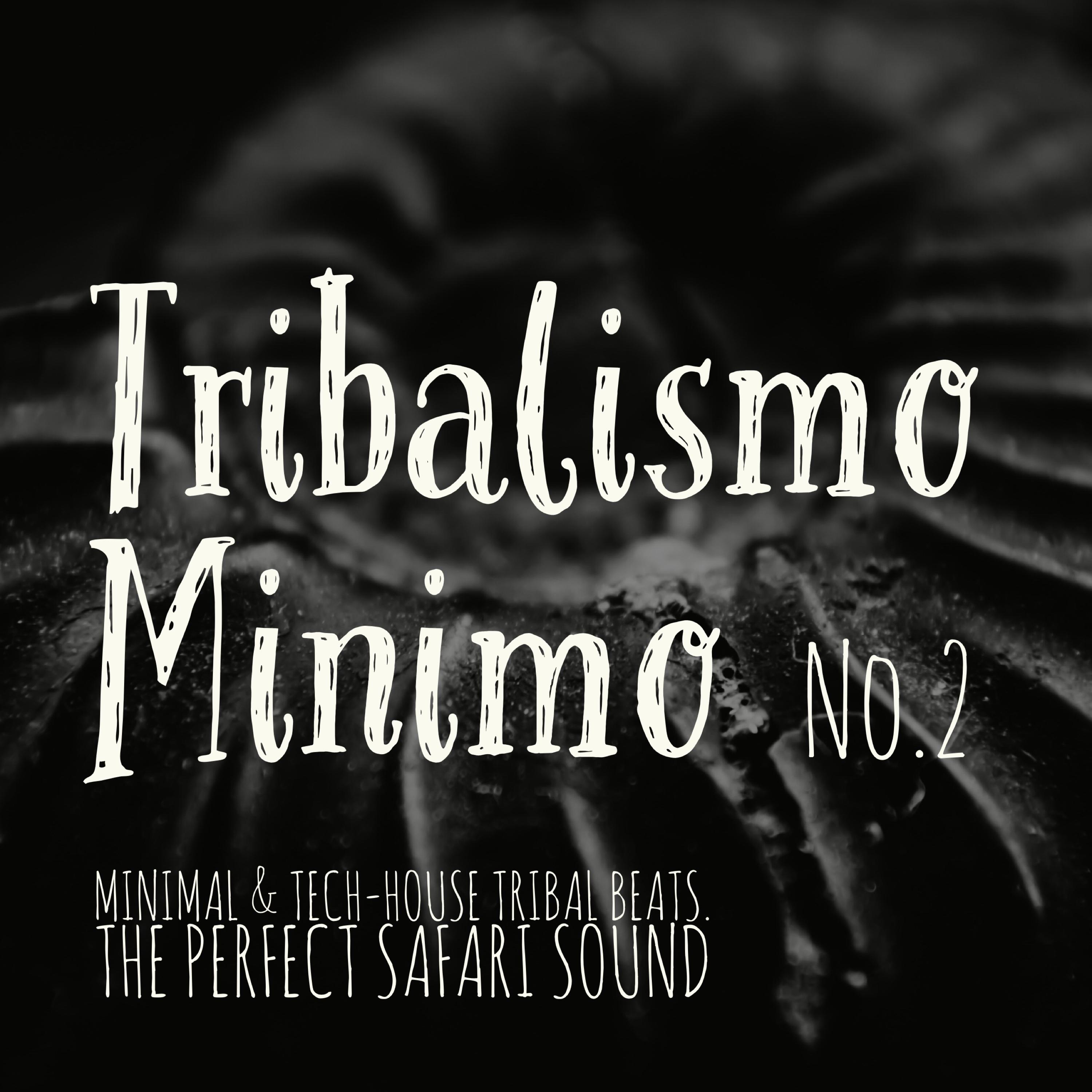 Tribalismo Minimo, Vol. 2