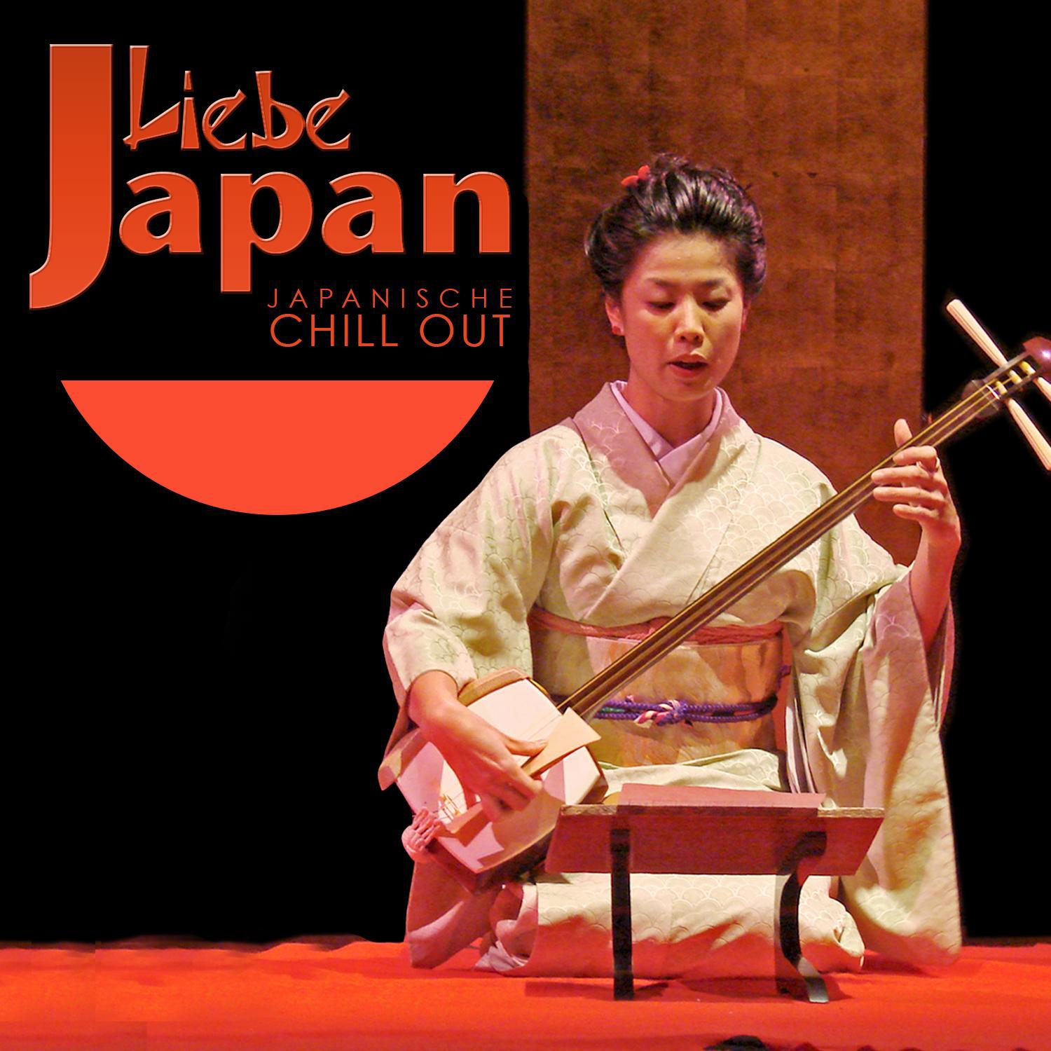 Milimalismo Tecnolo gico Technological Minimalism