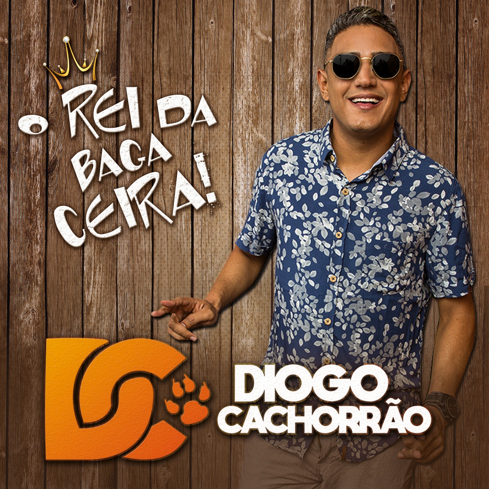 Hasta Que Se Me Acaben los Versos