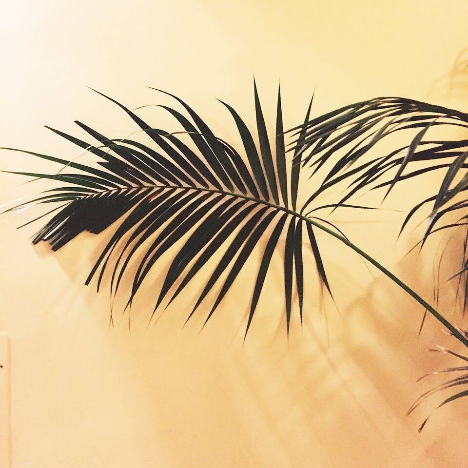 qiu niang gang qin tan chang Cover: fang dong de mao