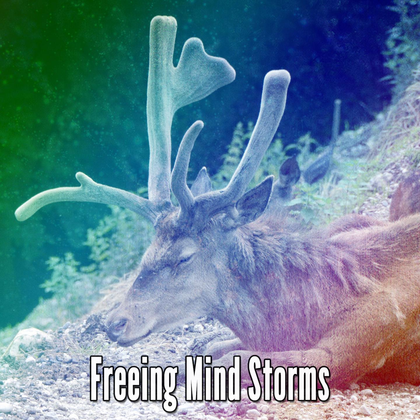 Freeing Mind Storms