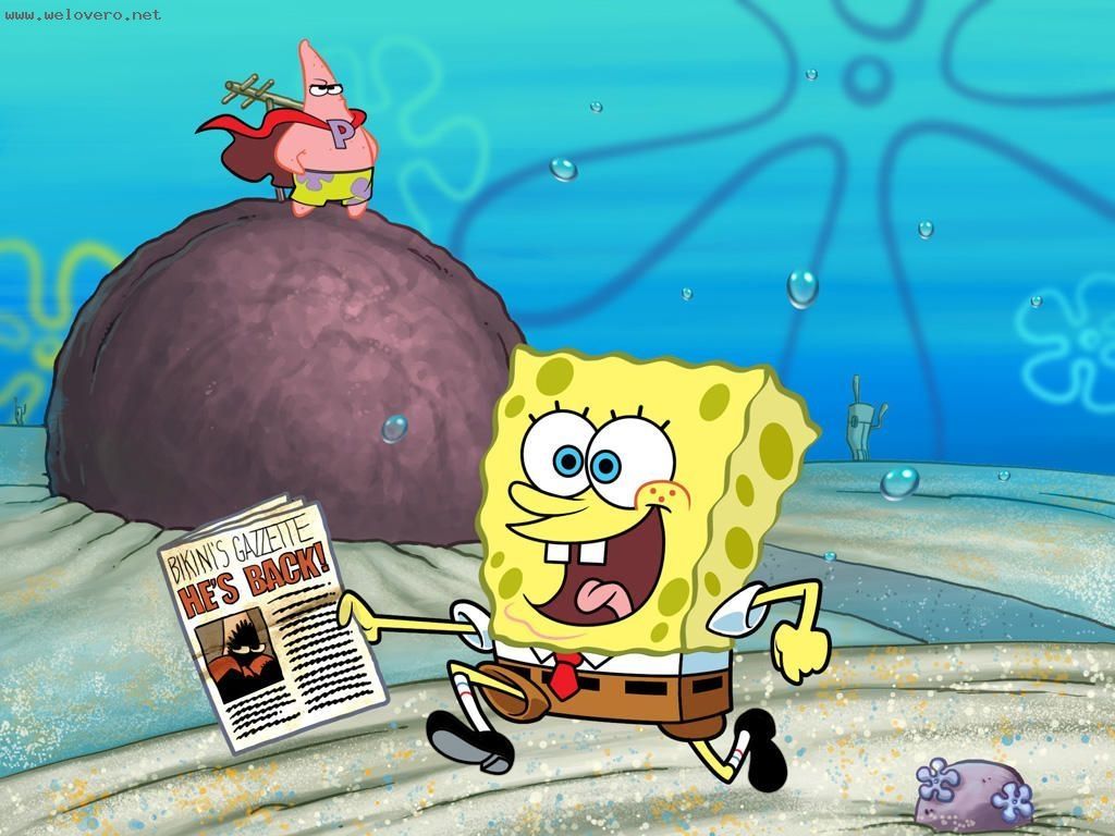 hai mian bao bao seaweed remix