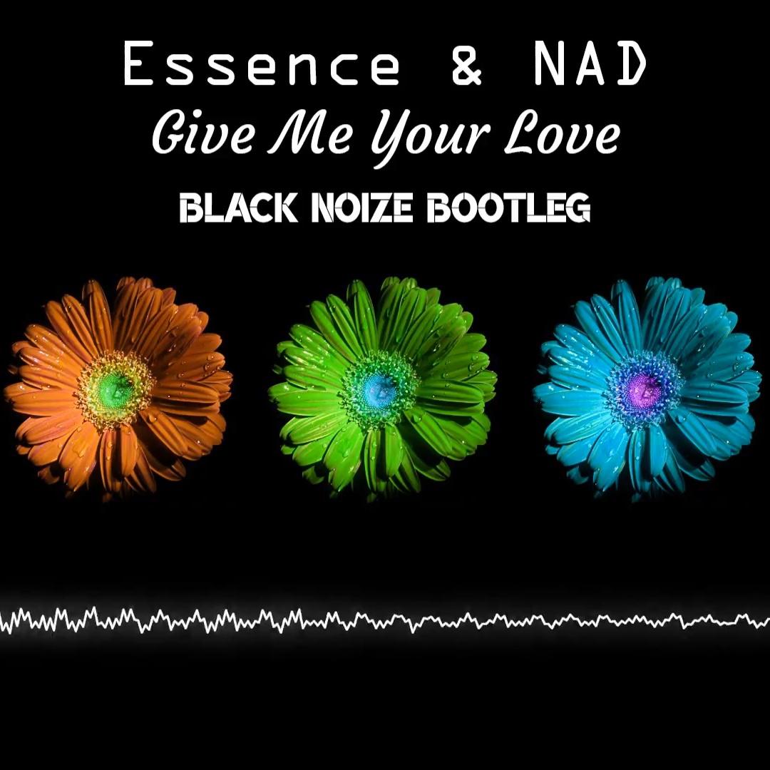 Give Me Your Love (Black Noize Bootleg)