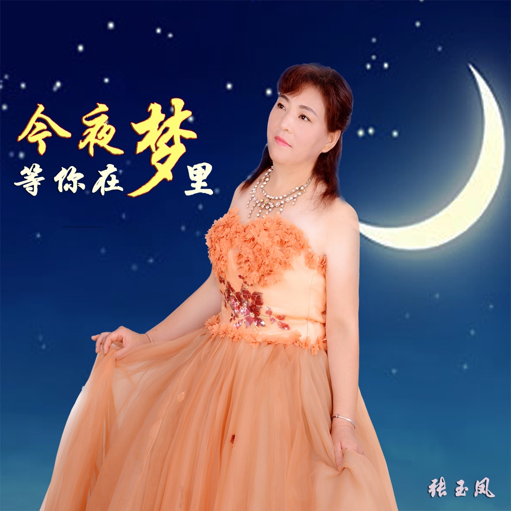 jin ye deng ni zai meng li