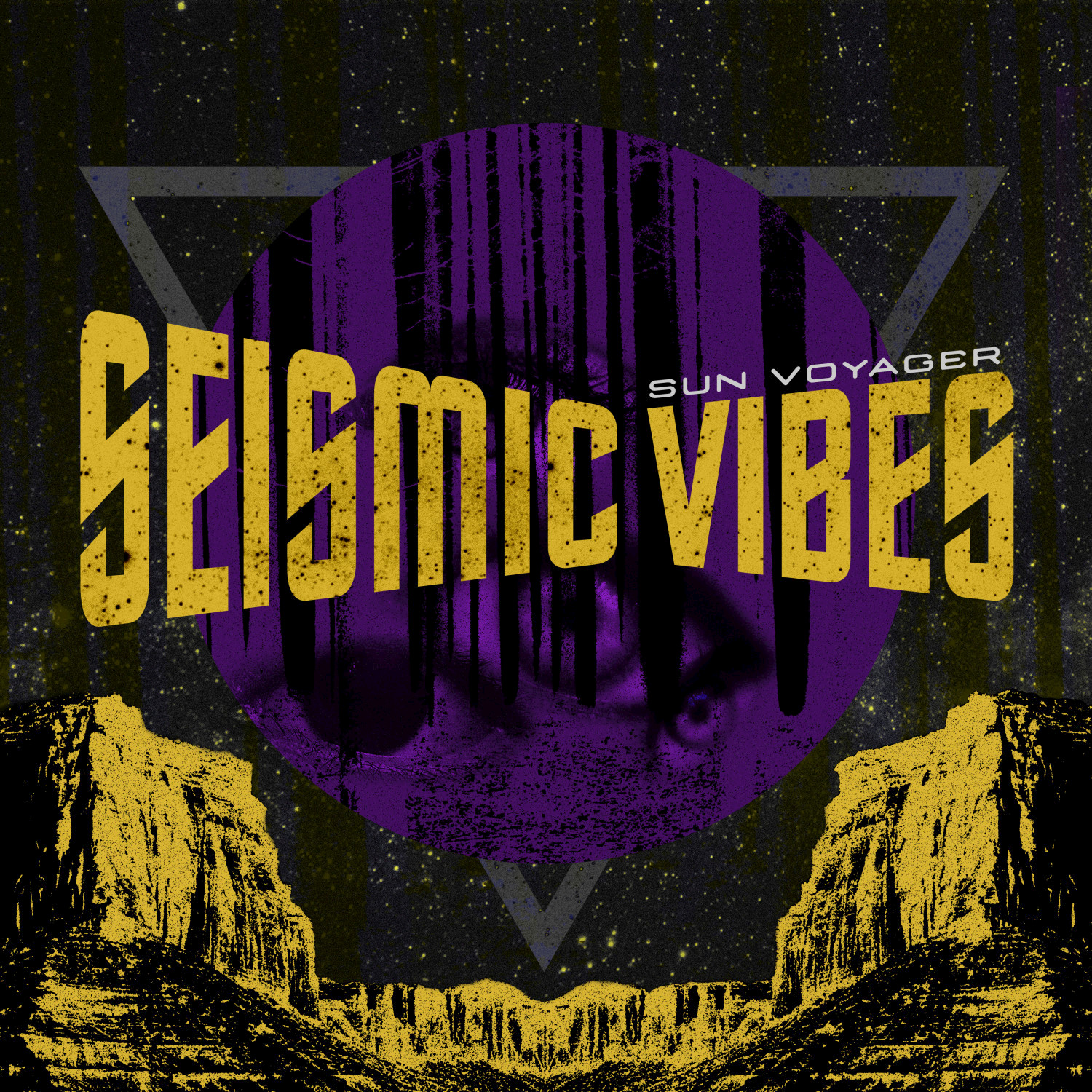 Seismic Vibes