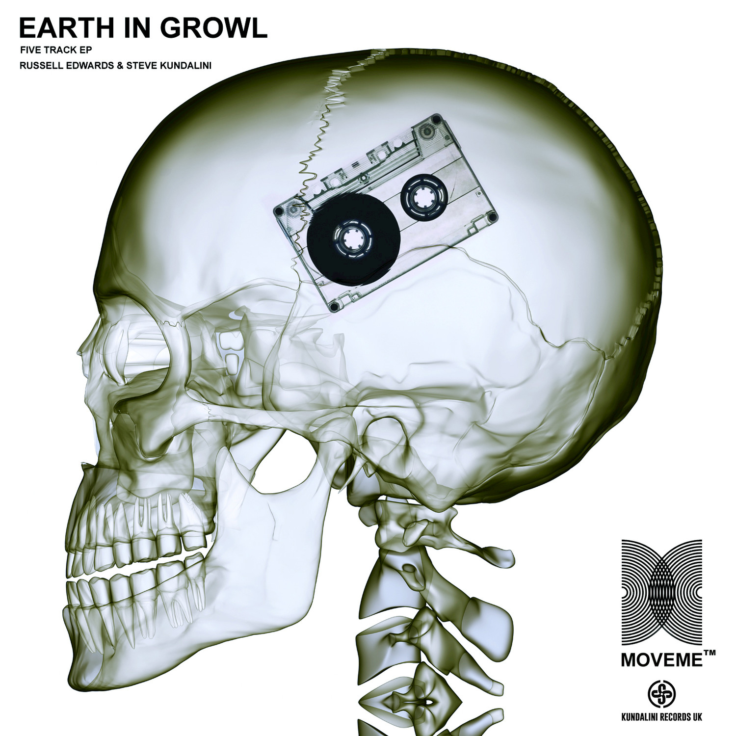 A Distant Star (Remix)