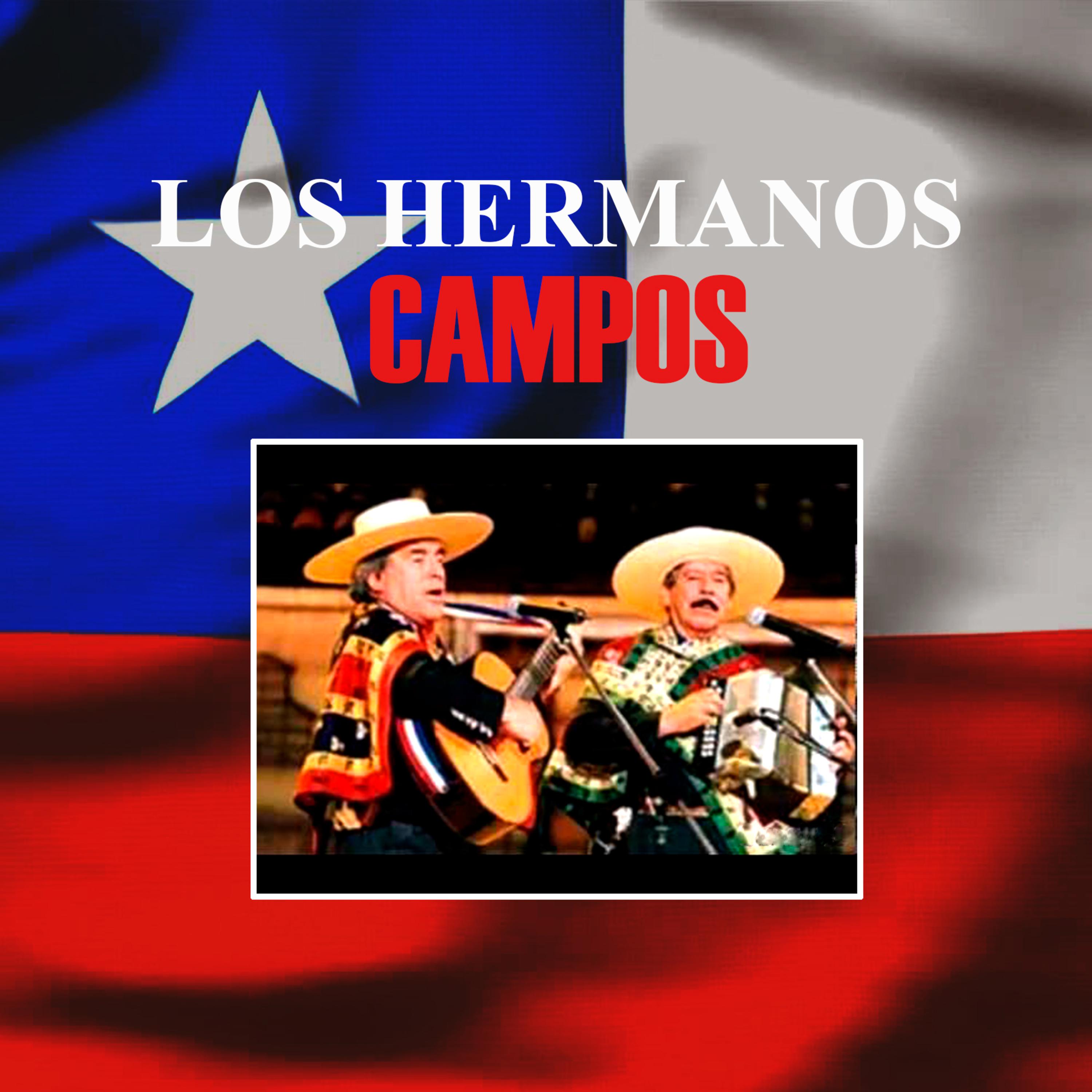 Cantemos querido amigo