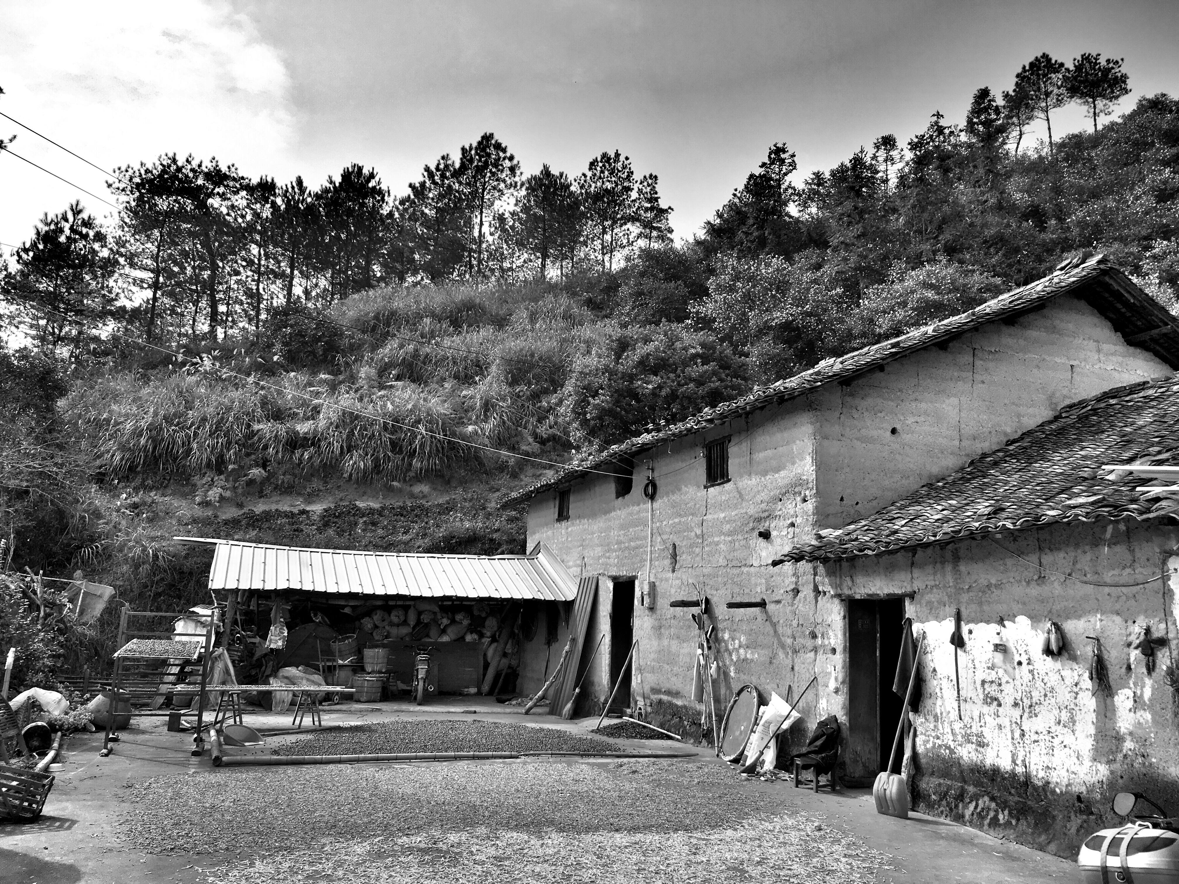 zhi ai ren Cover zhang yi fan