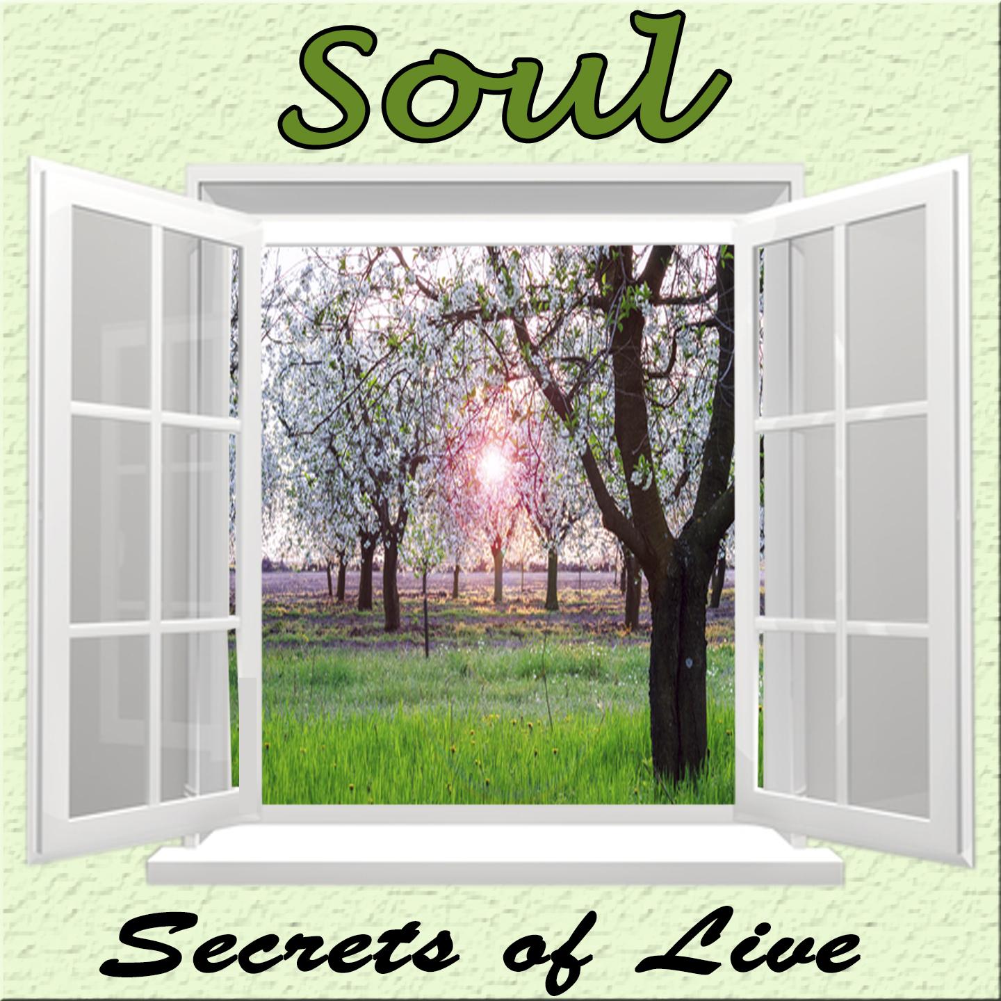 Secrets of Life, Soul
