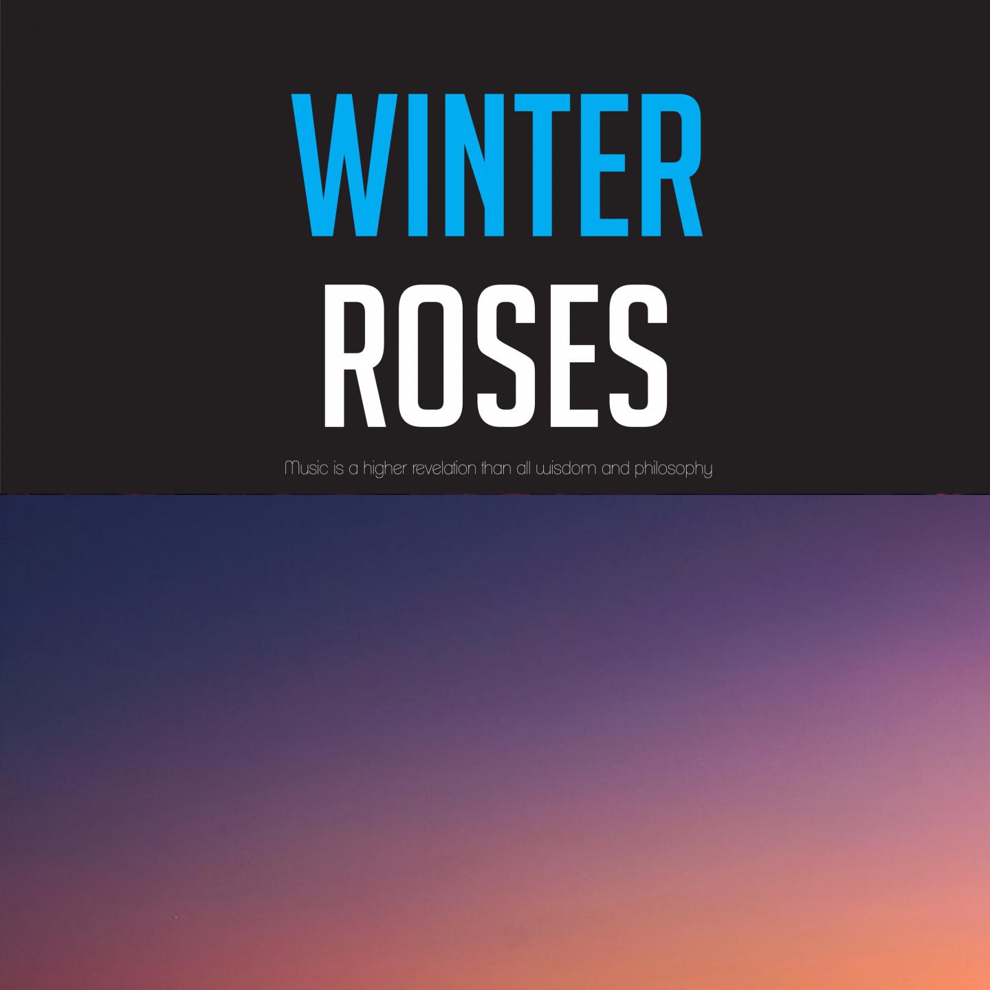 Winter Roses