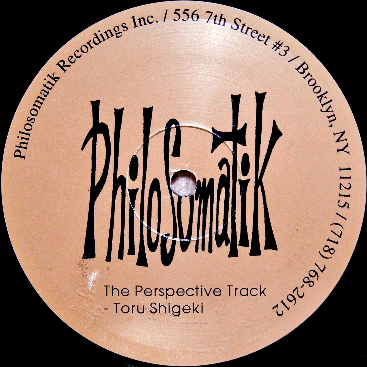 The Perceptible Track (Version 2)