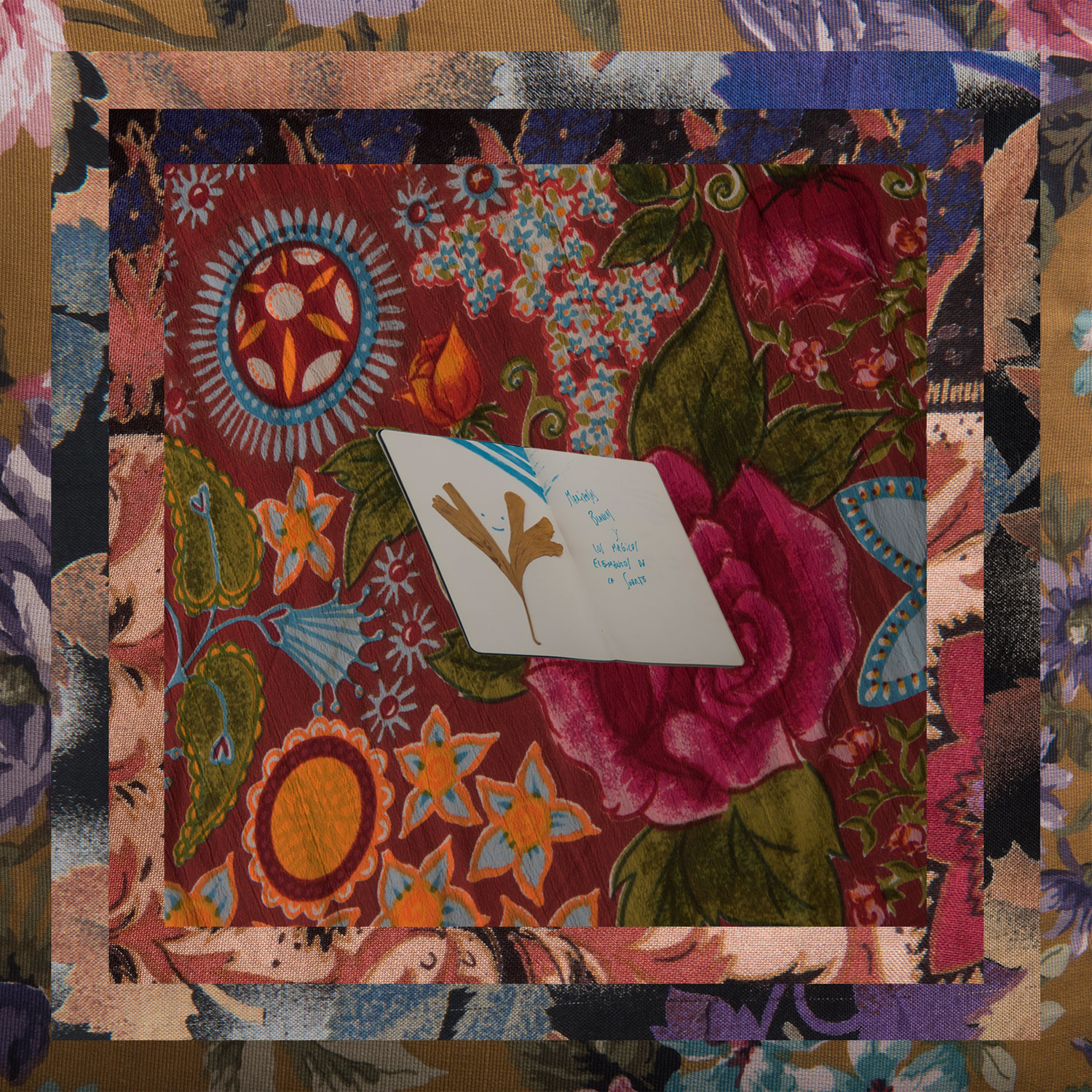 Mariposas Blancas  Los Ma gicos Elementos de la Suerte