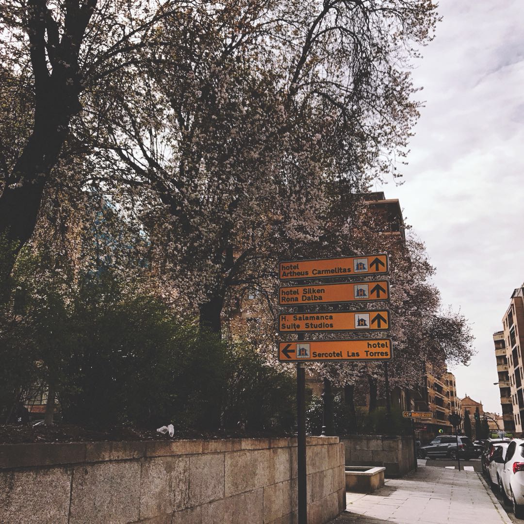 zhui guang zhe Remix  Prod  by  ZjalvsoN