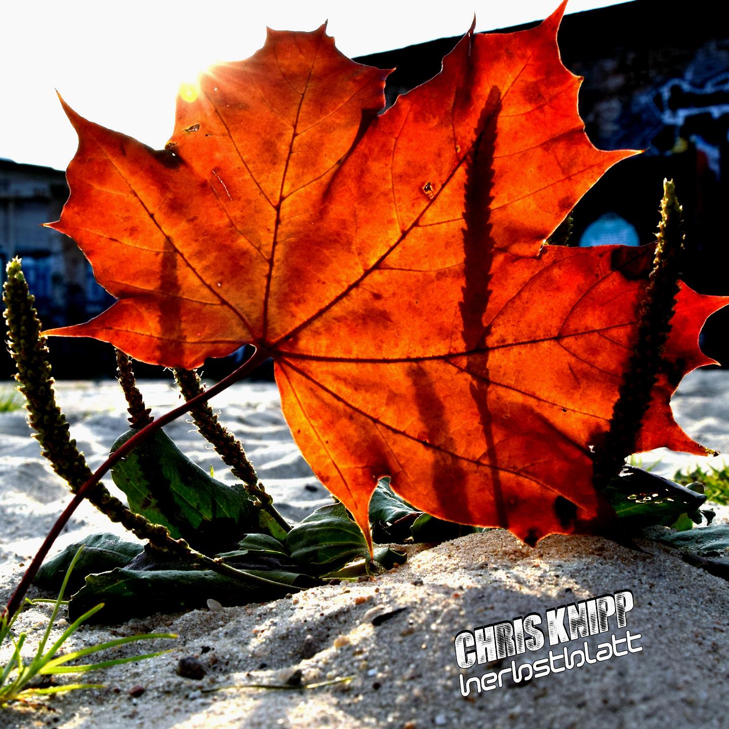 Herbstblatt (BoxNoise RMX)