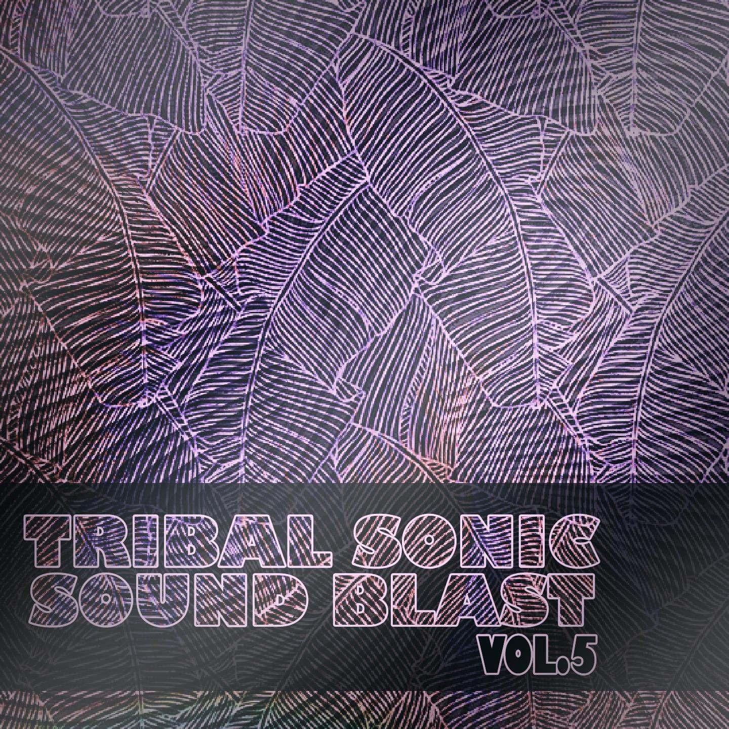 Tribal Sonic Soundblast,Vol.5