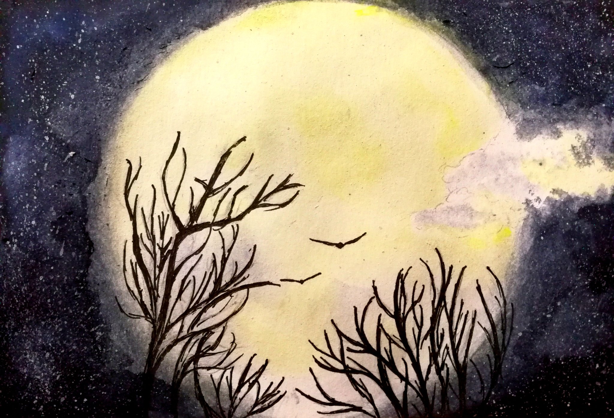 fen xing NW gai bian chong zhi