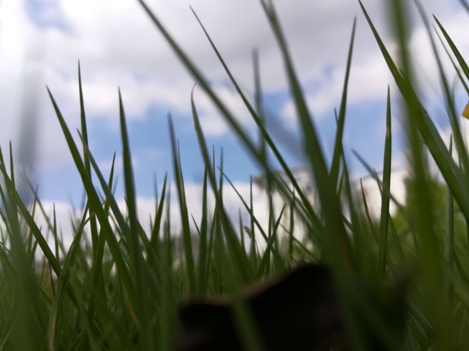 chun si xia lian qiu meng dong huai