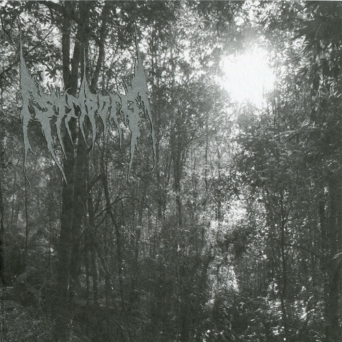 Origin of Paranormal Possibilities