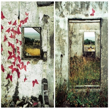 Chin Up (Acoustic) - unplug