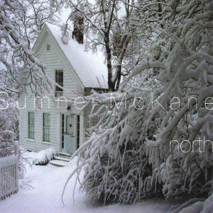 Woods Across the Street When I Was Little