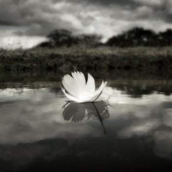 Ric Flair (BBC Introducing Session)