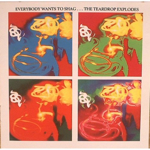 Everybody Wants to Shag...the Teardrop Explodes