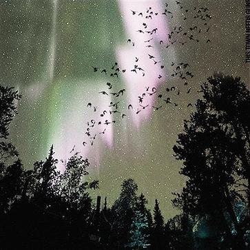 It's Not True Rufus, Don't Listen to the Hat