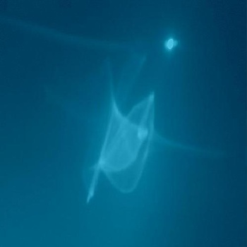 farewell (a swan song)