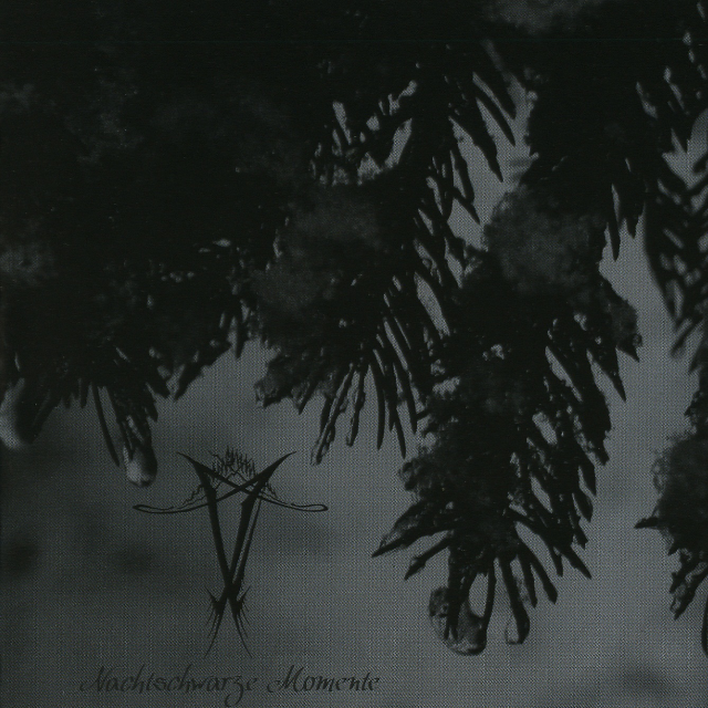 Nachtschwarze Momente