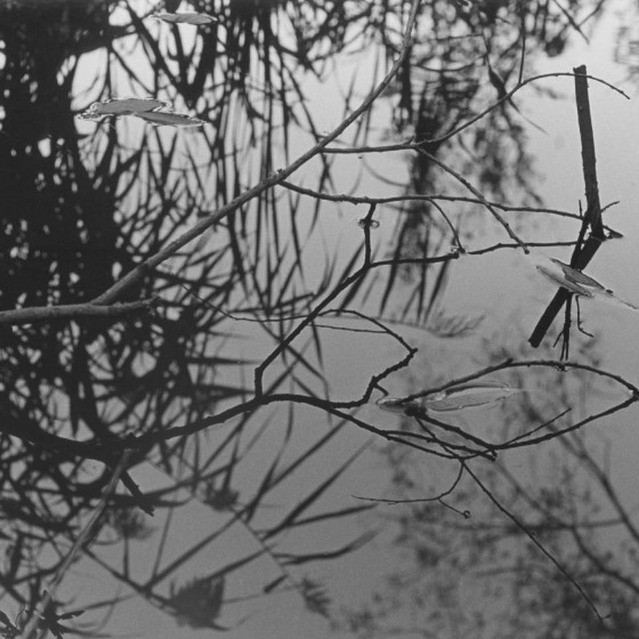 Find the Rhythm of Your Love