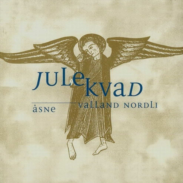 Det Limer Na Til Julefest