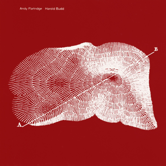 Mantle of Peacock Bones