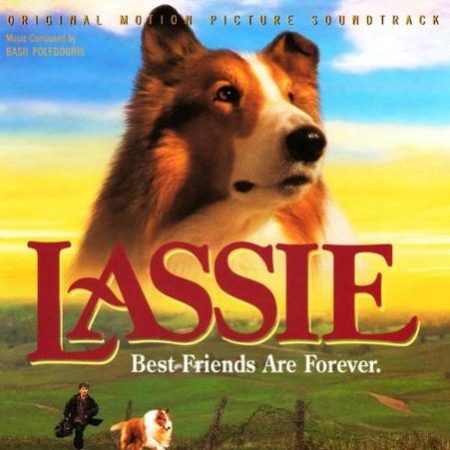 Lassie Saves Matt